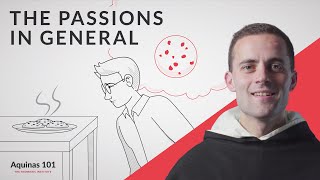 The Passions in General Aquinas 101 [upl. by Llerod205]