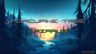 Porcupine Tree  Lazarus En Español [upl. by Gwenette65]