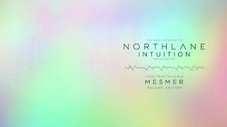 Northlane  Intuition Instrumental [upl. by Breskin]