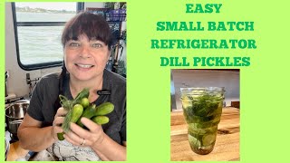 Small Batch Refrigerator Dill Pickles [upl. by Ivey]