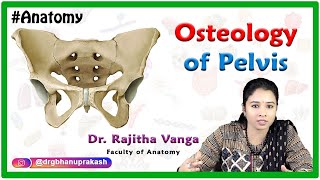 Osteology Of Pelvis [upl. by Delwin]