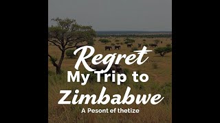 Why I Regret My Trip to Zimbabwe A Personal Reflection [upl. by Williamsen701]