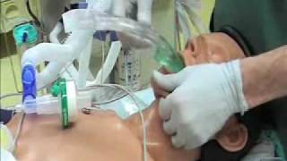 Intubation mit igel [upl. by Elpmet]