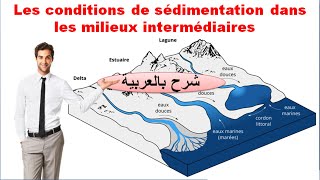 Les conditions de sédimentation dans les milieux intermédiaires شرح بالعربية [upl. by Yusem]