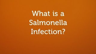 What is a Salmonella Infection Contaminated Food or Water [upl. by Ahsille246]