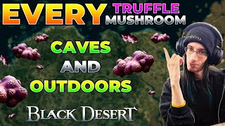 🍄The Ultimate Truffle Mushroom Location Guide🍄 For Black Desert Online [upl. by Nnylyam]