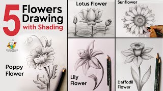 5 Flowers Drawing with Pencil Shading Easy Step By Step [upl. by Rede]