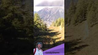 2 Wingsuit Pilot Crashes Into Trees ▪︎ Extreme Sports GONE WRONG [upl. by Meneau]