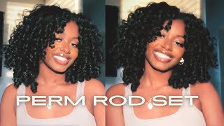 Easy Perm Rod Set Tutorial [upl. by Nari]