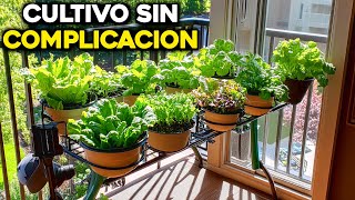 Plantas Fáciles para Huertos de Interior ¡Cosecha en Casa Todo el Año [upl. by Naerad709]