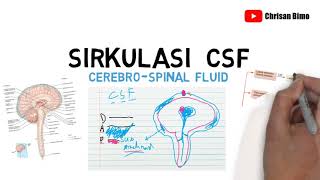 Sirkulasi CSF cerebrospinal fluid konsep dasar anatomi dan fisiologi [upl. by Klecka]