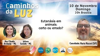 CAMINHOS DA LUZ  Bate papo com Mario Mazzei SP  Ana Archanjo e Juliana Gomide  7 [upl. by Whitford]