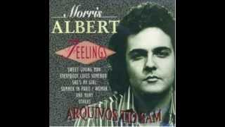 Feelings Morris Albert  Instrumental [upl. by Gerrit776]