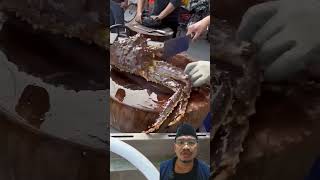 The skill of cutting king crab is very expert and very fast alaskankingcrab streetfood food [upl. by Scutt]