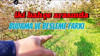 İKİ BAHÇE ARASINDA FARK [upl. by Fonz433]