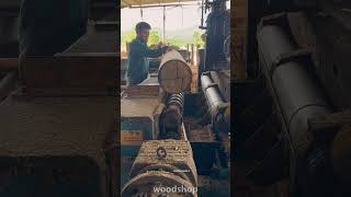 wood processing for debarking WoodWorkshop industrialwoodprocessing trending viral shorts [upl. by Yanaton]