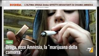 Lultima droga dagli effetti devastanti si chiama amnesia [upl. by Christalle947]