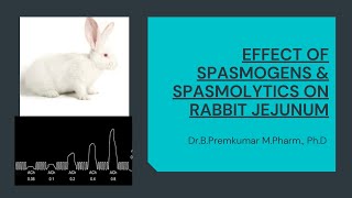 Effect of Spasmogens and Spasmolytics on Rabbit Jejunum [upl. by Rotberg62]