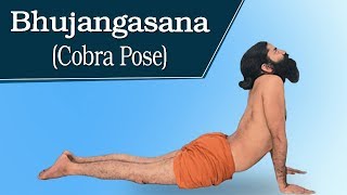 Health Benefits of Bhujangasana Cobra Pose  Swami Ramdev [upl. by Alisia]