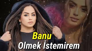 Banu  Olmek İstemirem Official Audio Music [upl. by Eyeleen]