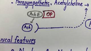 Organophosphate Poisoning [upl. by Earb]