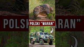 Oto Taktyczny Pojazd Wielozadaniowy 4x4 WARAN 💪 Co potrafi POLSKI kołowy transporter 🇵🇱 short [upl. by Ardied]