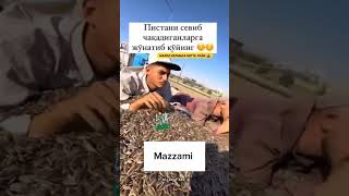 Pistani Sevib chaqadiganlarga 🥰❤️😅 sevgi youtubeshorts sevishganlarsuhbati rek topreelsshorts [upl. by Earaj121]