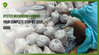 Oyster Mushroom Farming  Your Complete StepbyStep Guide [upl. by Pasahow904]