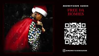 MoneySign Suede  Free Da Homies Visualizer [upl. by Anehsat]