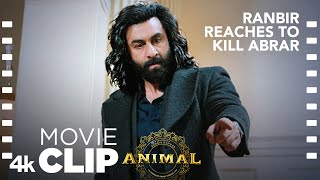 ANIMAL SCENE 23 Ranbir Reaches To Kill AbrarğŸ”ª  Ranbir K Bobby Deol Sandeep V Bhushan K [upl. by Anoli]