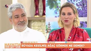 Rüyada kesilmiş ağaç görmek [upl. by Alvar]