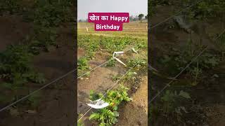 Tumhi ana song  खेत का Happy Birthday short jugsort [upl. by Fawne602]