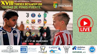 XVIII Torneo Benjamín quotCiudad de Pinos Puentequot FASE DE GRUPOS DOMINGO CAMPO 2 [upl. by Gladi]