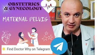 Maternal Pelvis How to Answer Exam Questions [upl. by Jarrow212]