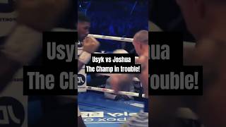 Anthony Joshua vs Oleksandr Usyk Full Fight Highlights usyk anthonyjoshua [upl. by Ahidam]