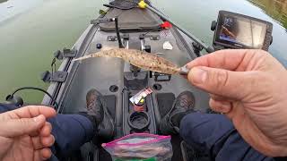 Kayak Bass Fishing at Lake Berryessa Capell Cove [upl. by Inoy555]