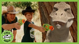 Dinosaurs Showdown TRex Ranch Dinosaur Videos [upl. by Sucitivel]