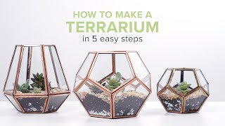 How to Make a Terrarium [upl. by Olympe]