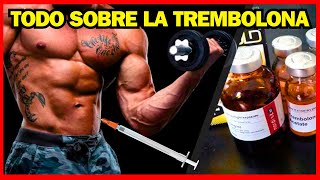 QUE HACE LA TREMBOLONA EN EL CUERPO  COMO LA TREMBOLONA HACE GANAR MUSCULO [upl. by Ynohtnad]