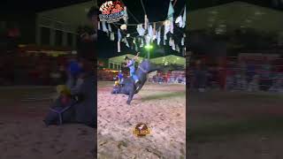 Llaverito de Tonalapa 🆚 Belleza negra Rincon de Analco solojaripeo toros torosmx viralvideo [upl. by Danyelle244]