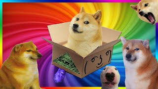 Doge Unboxing Boxception Box inside a box Darude Sandstorm in forest Dogelore meme [upl. by Martell763]