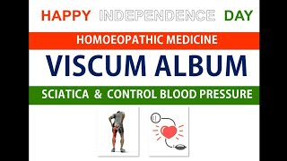 Viscum album Homeopathic MedicineSciaticaHigh Blood PressureMetrorrhagia [upl. by Ragucci]