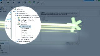 Realiza controles de calidad específicos por idioma en SDL Trados Studio 2019 [upl. by Nalaf745]