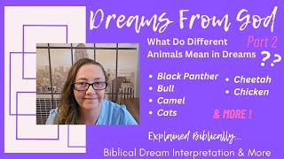 Why did I dream of a Cat Camels Bulls Chickens amp more explained  Biblical Dream Interpretation [upl. by Abisia]