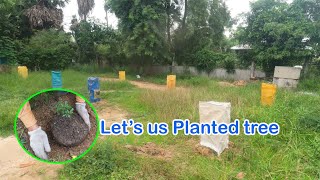 I Spent a Day Planting Trees and Heres What Happened [upl. by Idaline]