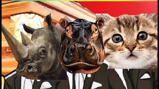 Rhino Vs Hippo Vs Junggle Cat  Coffin Dance Meme Cover [upl. by Shadow800]