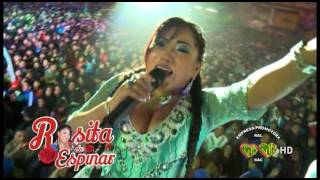 Rosita de Espinar  AMOR CIBERNÃ‰TICO  EPRAL PRODUCCIONES  Concierto 2015 [upl. by Oeramed]