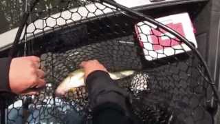 Walleye Fishing on Bitter Lake in Waubay South Dakota [upl. by Yul557]