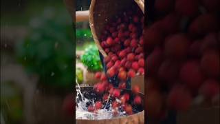 Have you heard about lychee wine makingwine wine ytshorts [upl. by Eletnahc]