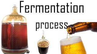 Fermentation process  fermentation biology in yeast [upl. by Morey]